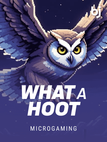 What A Hootpng